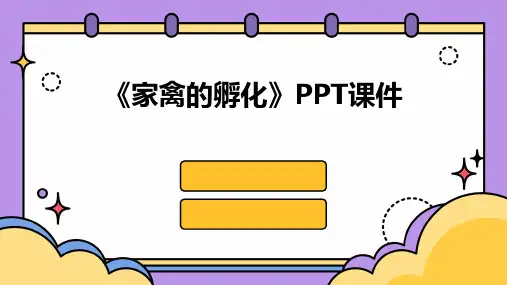 《家禽的孵化》课件