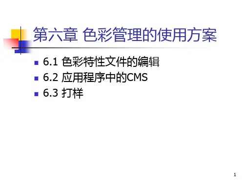 第六章-色彩管理的使用方案PPT课件