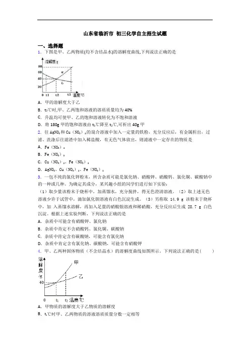 山东省临沂市 初三化学自主招生试题
