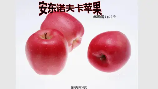 安东诺夫卡苹果PPT课件