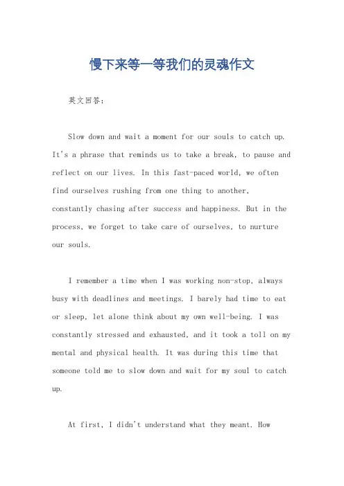 慢下来等一等我们的灵魂作文