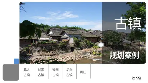 新农村田园综合体古镇旅游规划案例汇报PPT课件资料