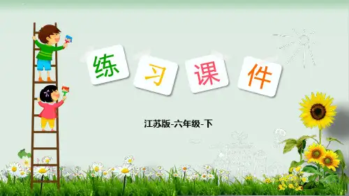 六年级下册数学习题课件比例1图形的放大和缩小,比例的意义苏教版PPT课件