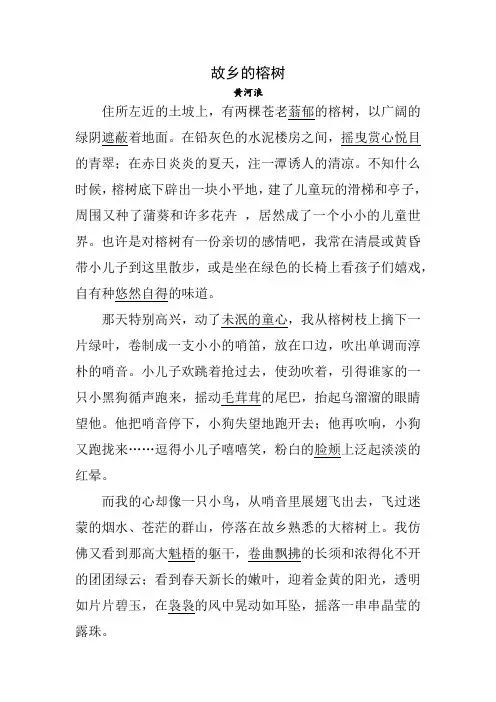 《故乡的榕树》原文