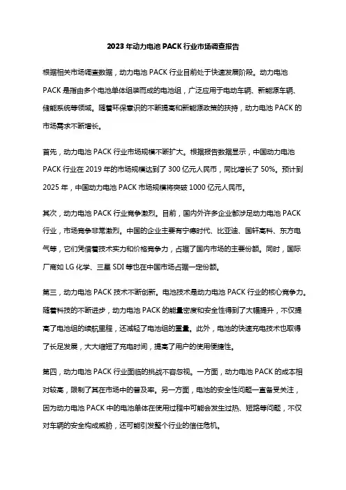 2023年动力电池PACK行业市场调查报告
