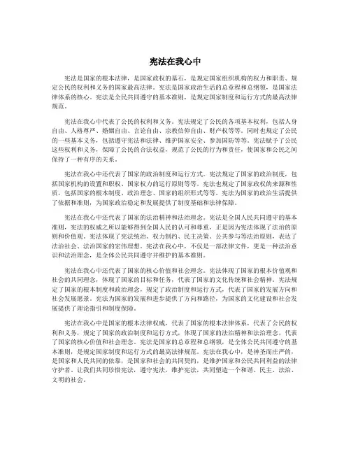 宪法在我心中