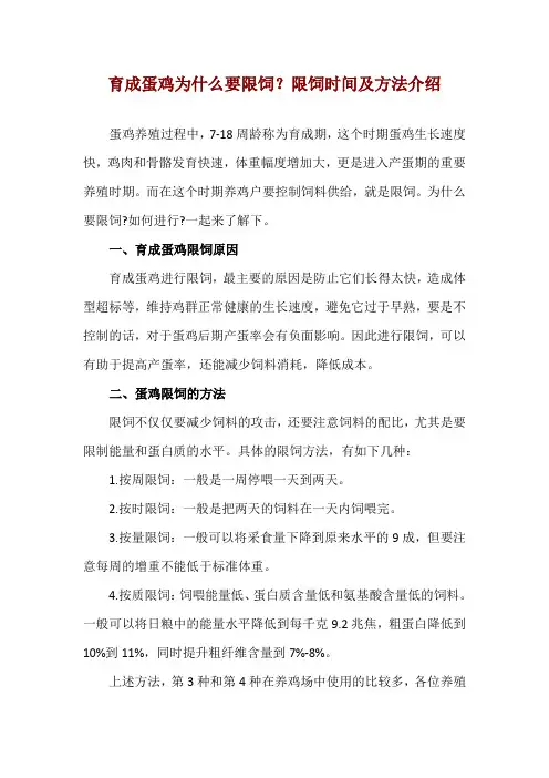 育成蛋鸡为什么要限饲？限饲时间及方法介绍