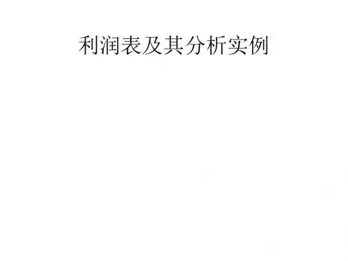 利润表及其分析实例