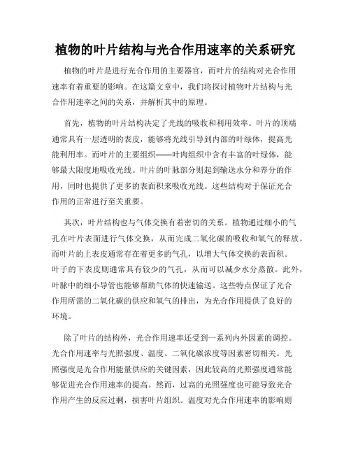 植物的叶片结构与光合作用速率的关系研究