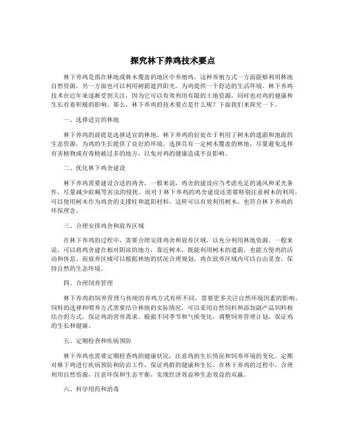 探究林下养鸡技术要点