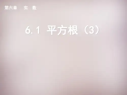 第4套人教初中数学七下 6.1 平方根课件3 【经典初中数学课件 】