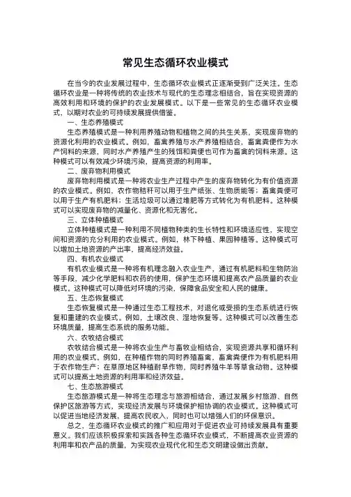 常见生态循环农业模式