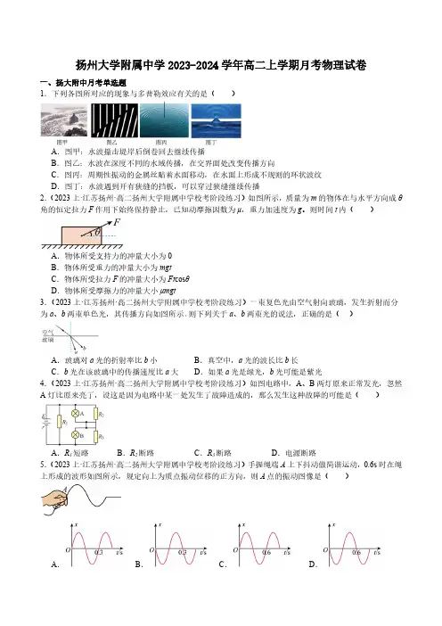 扬州大学附属中学2023-2024学年高二上学期月考物理试卷(含答案)