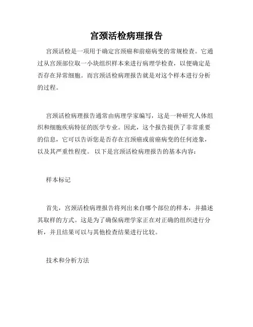 宫颈活检病理报告