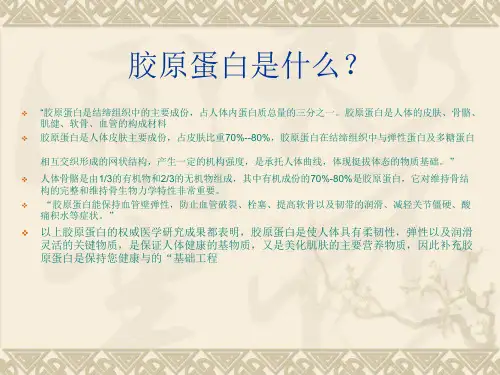 胶原蛋白课件