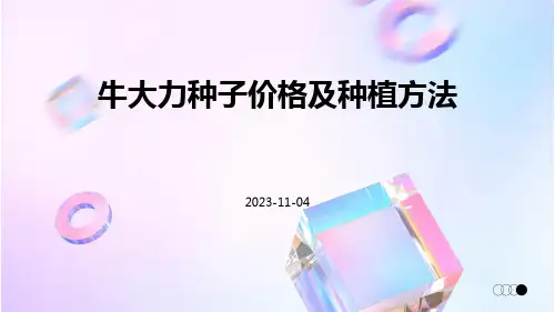 牛大力种子价格及种植方法