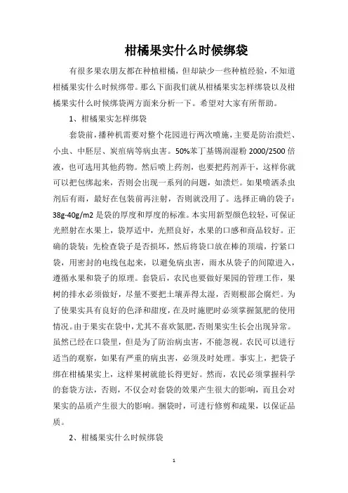 柑橘果实什么时候绑袋