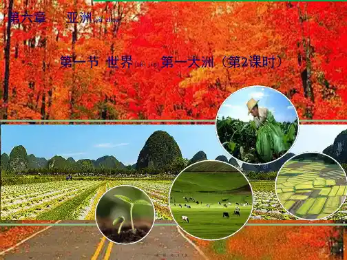 七年级地理下册6.1世界第一大洲教学初中七年级全册地理