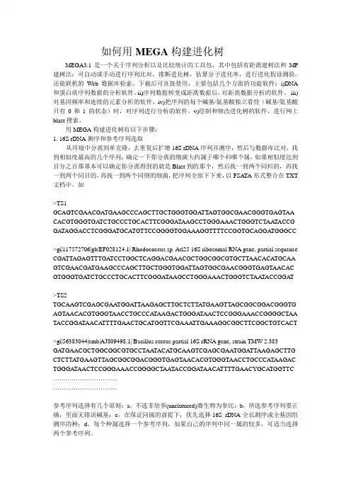 用MEGA构建进化树