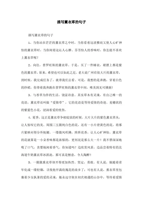 描写薰衣草的句子