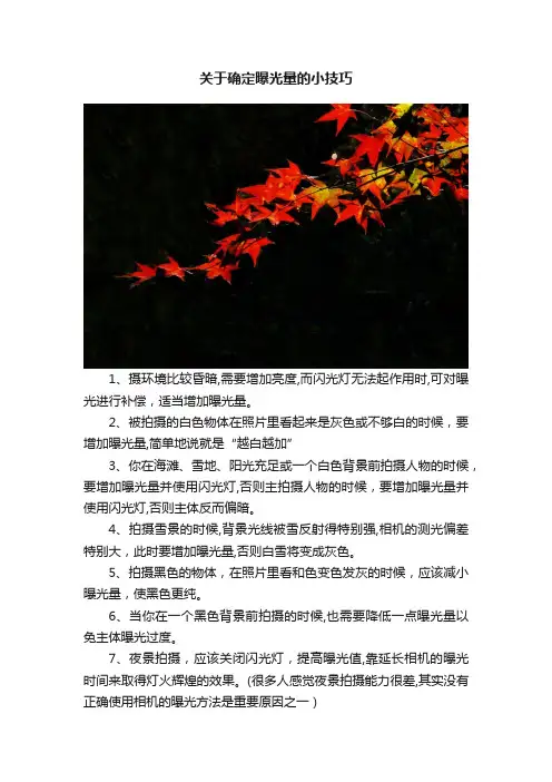 关于确定曝光量的小技巧