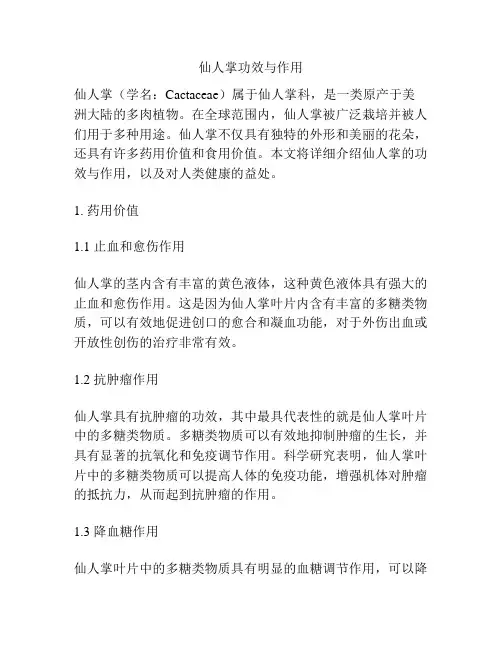 仙人掌功效与作用