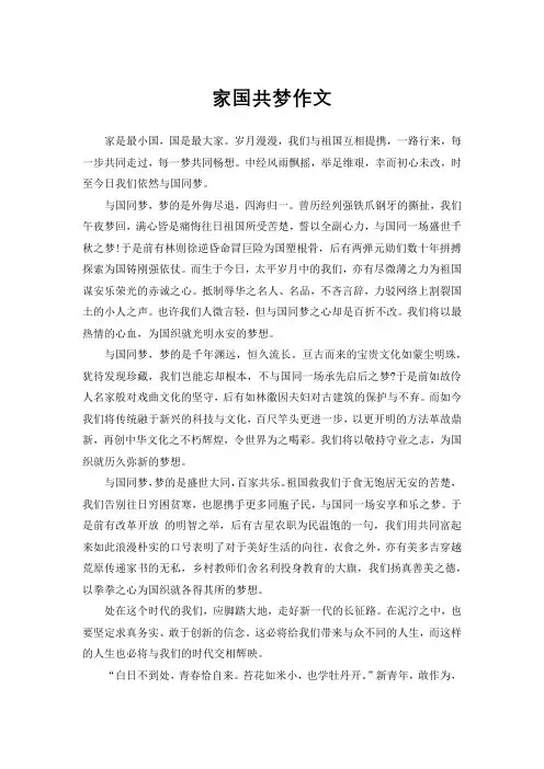 家国共梦作文