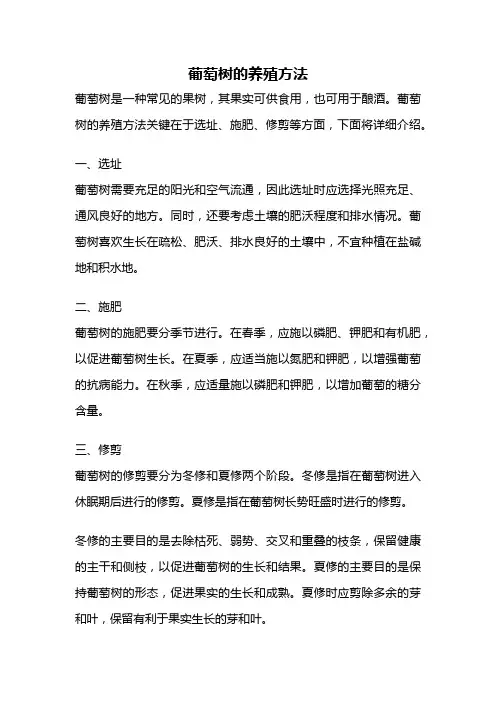 葡萄树的养殖方法