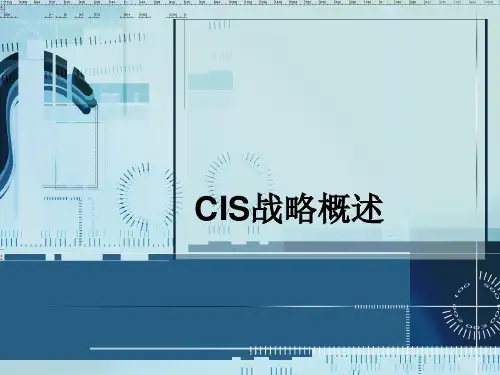 CIS战略概述ppt课件