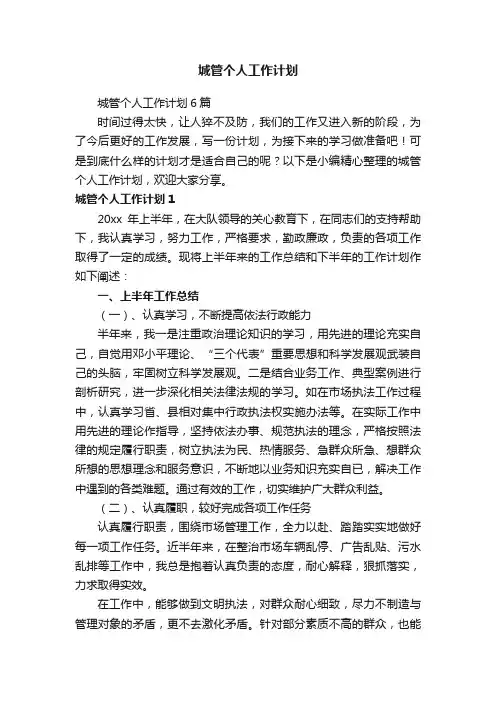 城管个人工作计划