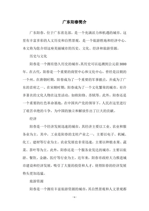 广东阳春简介