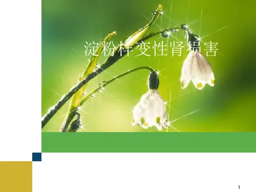 肾脏淀粉样变ppt课件