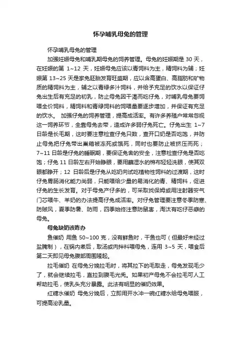 怀孕哺乳母兔的管理