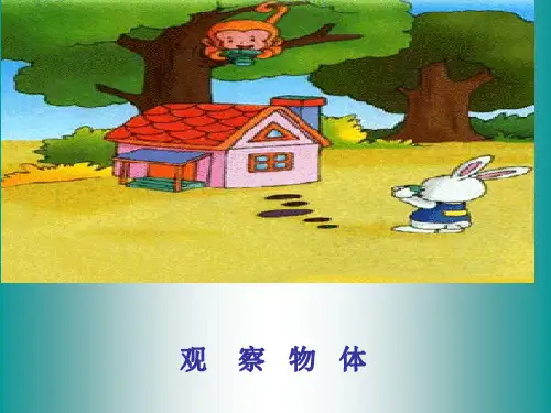 最新苏教版二年级数学上册观察物体PPT123公开课获奖课件百校联赛一等奖课件