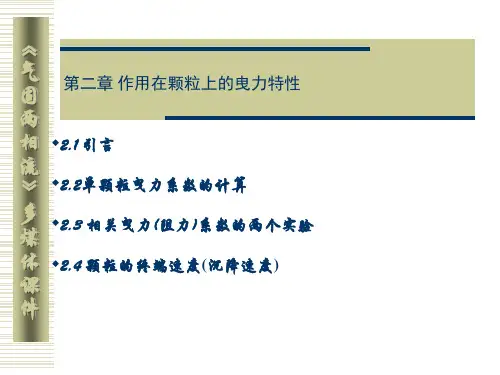 第二章 作用在颗粒上的曳力特性