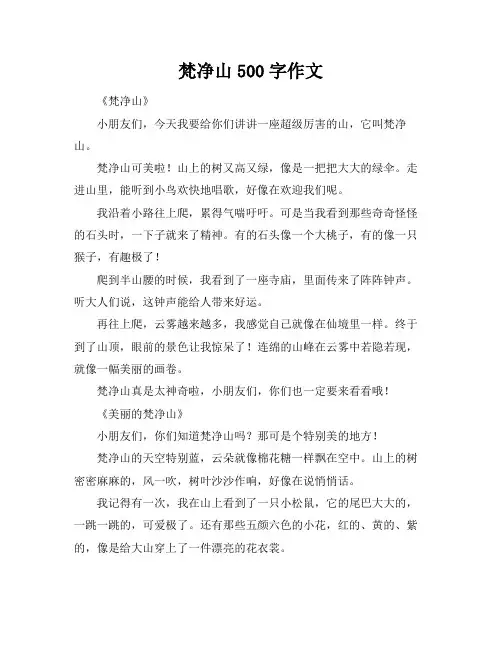 梵净山500字作文