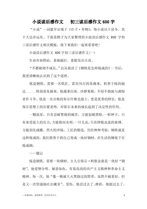 小说读后感作文   初三读后感作文600字