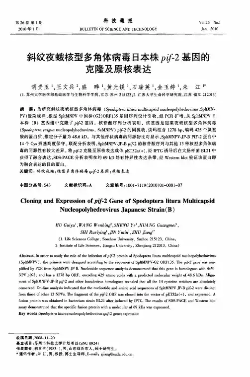 斜纹夜蛾核型多角体病毒日本株pif-2基因的克隆及原核表达