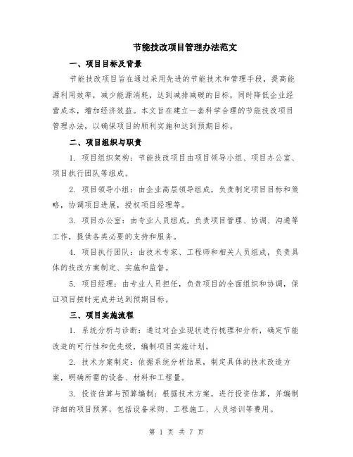 节能技改项目管理办法范文（二篇）