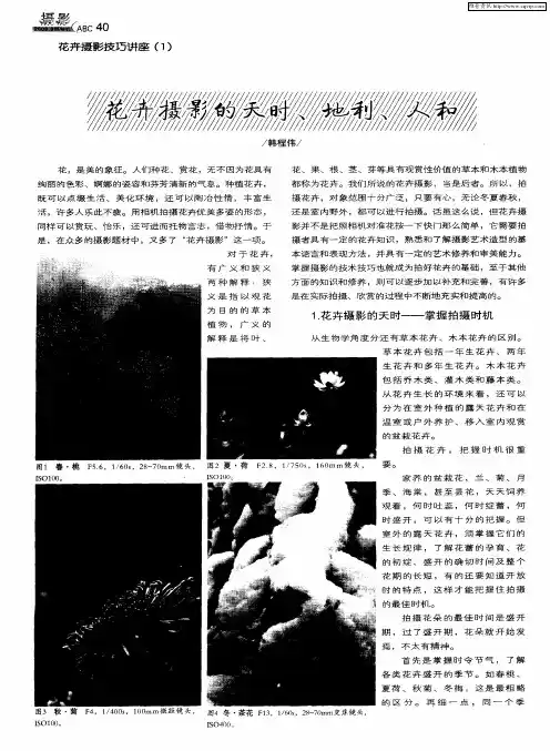 花卉摄影的天时、地利、人和