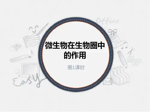 《微生物在生物圈中的作用》PPT鉴赏(第1课时)