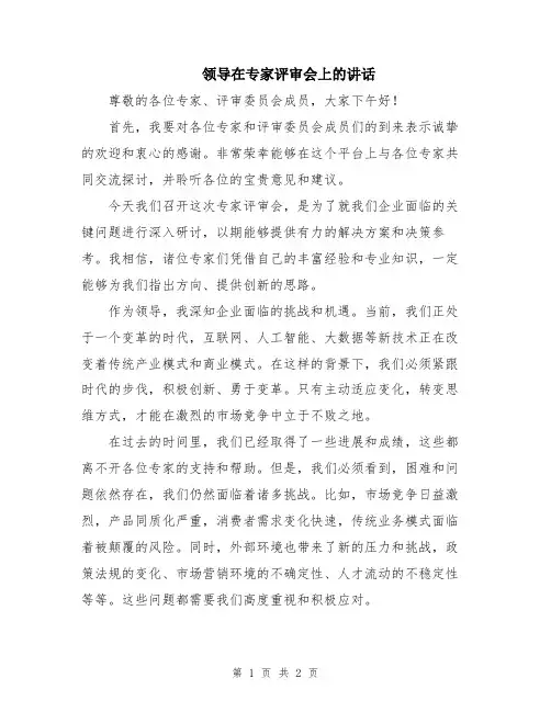 领导在专家评审会上的讲话