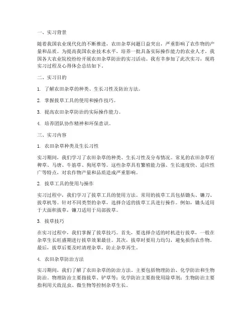 拔草实习报告