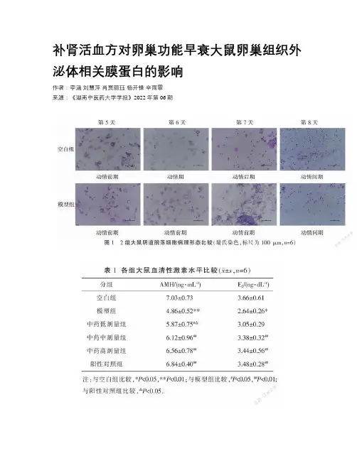 补肾活血方对卵巢功能早衰大鼠卵巢组织外泌体相关膜蛋白的影响