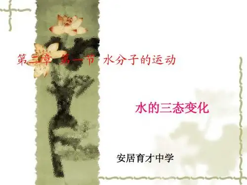 第二章 第一节 水分子的运动