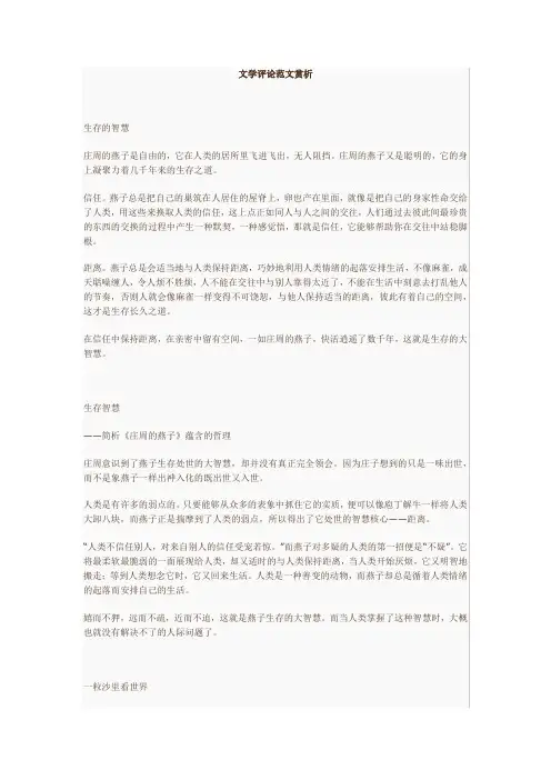 文学评论范文赏析