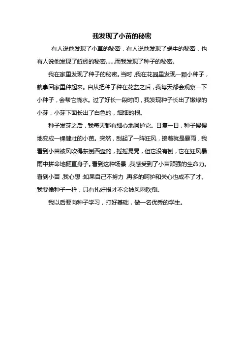 四年级作文：我发现了小苗的秘密作文300字
