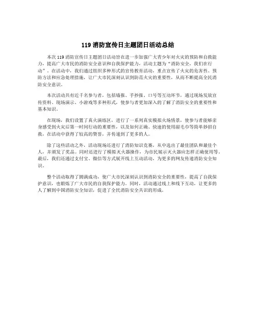 119消防宣传日主题团日活动总结