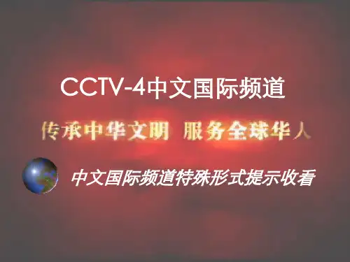 CCTV4中文国际频道.ppt