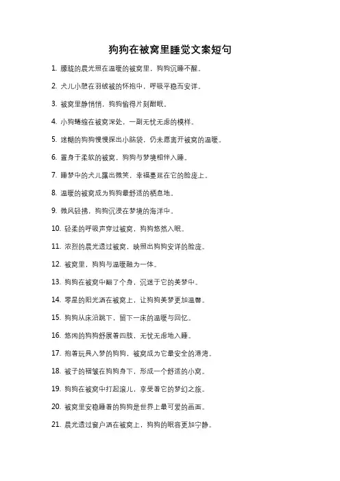 狗狗在被窝里睡觉文案短句